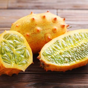 Kiwano African Horned Melon Jelly Melon Seedling - Live Plant - Ships in Spring!