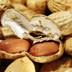 May include: Close-up of peanuts in their shells. Some of the shells are open, revealing the brown peanut kernels inside.