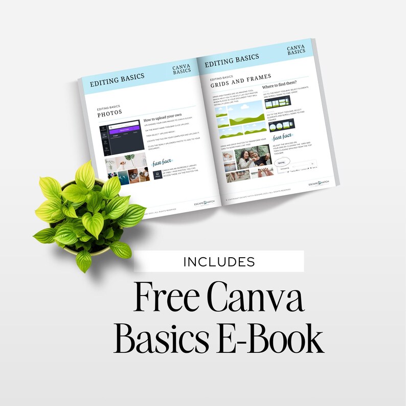 Coach Instagram Canva Template, Course Creator Insta, INSTANT DIGITAL ...