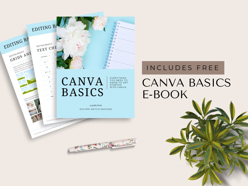Doula Templates Editable Canva Flyer Template Postpartum Doula Handout Birth Doula Brochure Doula Marketing Birth Worker Lactation Template