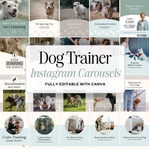 Könnte beinhalten: Eine digitale Sammlung von Instagram-Karussell-Vorlagen für Hundetrainer, mit verschiedenen Fotos von Hunden in Trainingsszenarien, pädagogischen Textüberlagerungen und dem zentralen Titel Dog Trainer Instagram Carousels Fully Editable With Canva.