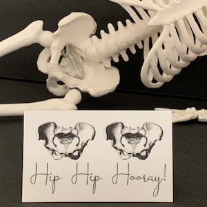 Hip Hip Hooray! Funny Anatomy Pun Sticker | Forensics and Science Jokes | Human Anatomy | CSI and Medical Examiner Humor Decal