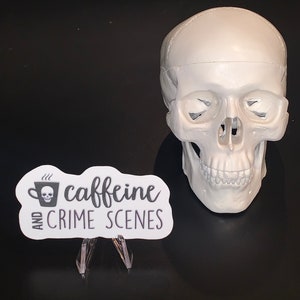 Puede incluir: Cr&aacute;neo de pl&aacute;stico blanco con una pegatina que dice "caffeine and crime scenes" con una calavera y huesos cruzados en una taza de caf&eacute;.