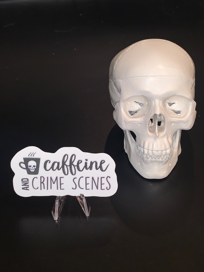 Puede incluir: Cr&aacute;neo de pl&aacute;stico blanco con una pegatina que dice "caffeine and crime scenes" con una calavera y huesos cruzados en una taza de caf&eacute;.
