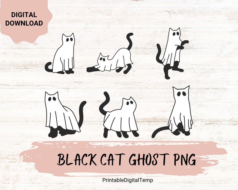 Сute ghost kat png, Halloween png, Cricut png, Digitale Download, Boho Halloween png, cricut png, ghost png, kattenliefhebber png, spook kat afbeelding 1