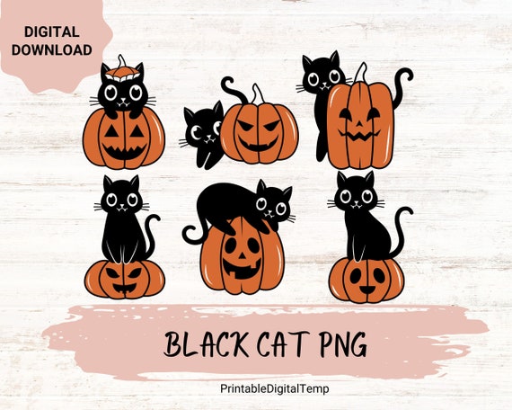 black cat pumpkin png,Halloween png,Cricut png,Digital Download,Boho Halloween png, cricut png, ghost png, black cat lover png, pumpkin cat