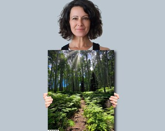 Summer on Kebler Pass Colorado: Aspens and Fern Forest Landscape Canvas Print Metal Acrylic Print Wall Art