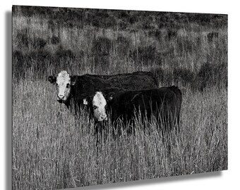 Field Friends: A Monochrome Moment - Canvas / Metaal / Acryl Muurkunstposter