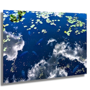 Pond Reflections: Wasserwolken Fische Seerosenblatt Leinwand / Metall / Acryl Druck Wand Kunst Poster Druck