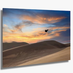 A Raven Flies Over Great Sand Dunes National Park: Canvas / Metal / Acrylic Wall Art Poster Print