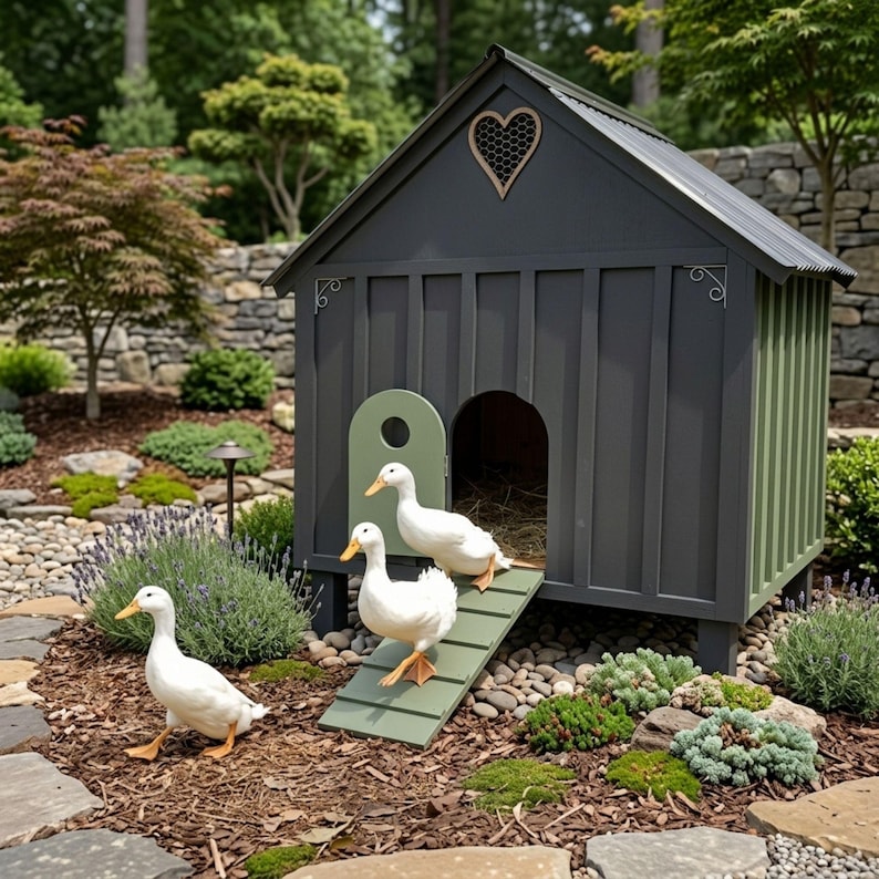 DIY Duck House Plan PDF | Wooden Duck Coop Blue Prints | Modern Duck Shed Build | Small Chicken Coup Design | Backyard Poultry Blueprint