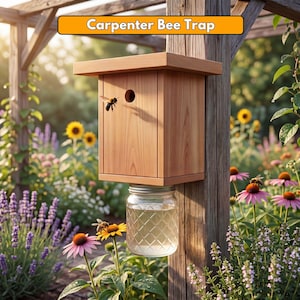 Könnte beinhalten: Eine Holzfalle für Zimmermannsbienen mit dem Text "Carpenter Bee Trap" in einer orangefarbenen Box. Die Falle ist an einem Holzpfosten befestigt und hat ein Glasgefäß, das darunter hängt. Bienen fliegen um die Falle herum, umgeben von Blumen.