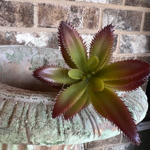 May include: A green and burgundy succulent plant with spiky leaves sits in a weathered green planter. The planter has a decorative rim and is made of a rough material.