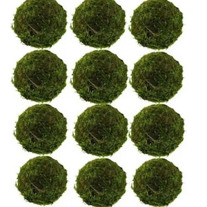 May include: Twelve green moss balls, each about 3 inches in diameter, arranged in a grid pattern on a white background.
