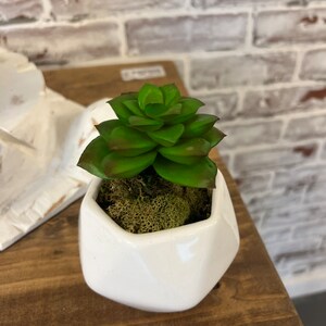 May include: A small, artificial succulent plant in a white, geometric ceramic pot. The plant has green leaves with reddish tips and sits atop a bed of green moss. The pot is on a wooden surface.