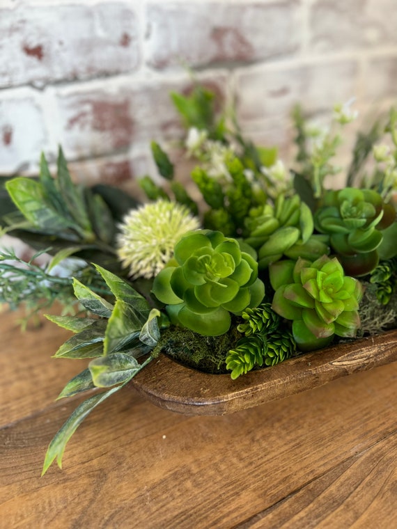 Succulents on dining table deals