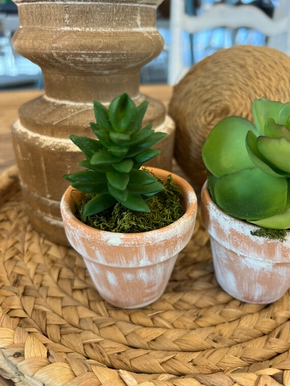 Succulents, Clay Pot, Artificial Succulents, Distress Clay Pots, Baby in  Bloom, Succulent Bloom, Pot Succulent, Fake, Faux, Small Succulent - Etsy