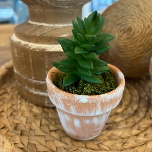 Succulents, clay pot, artificial succulents, distress clay pots, baby in bloom, succulent bloom, pot succulent, fake, faux, small succulent