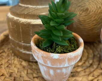 Succulents, clay pot, artificial succulents, distress clay pots, baby in bloom, succulent bloom, pot succulent, fake, faux, small succulent