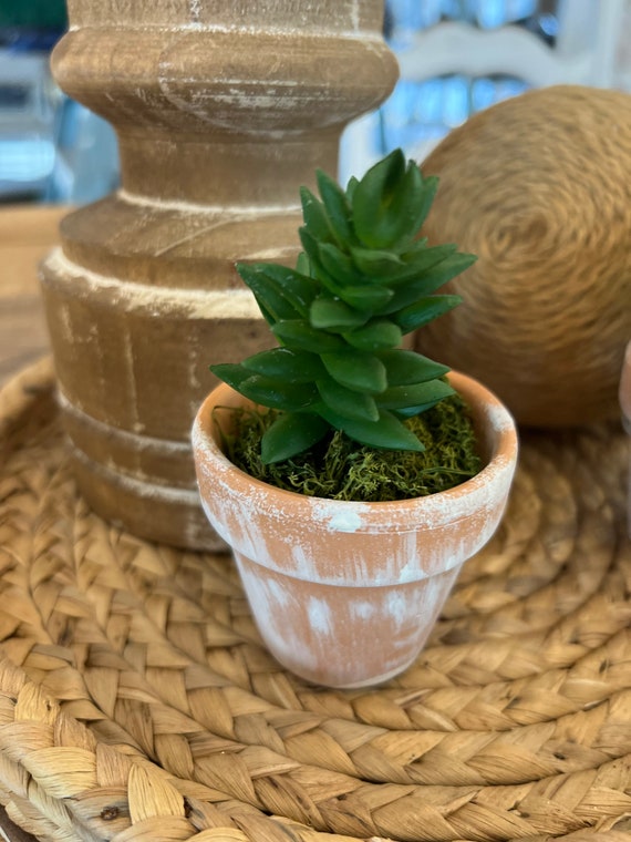 Succulents, Clay Pot, Artificial Succulents, Distress Clay Pots, Baby in  Bloom, Succulent Bloom, Pot Succulent, Fake, Faux, Small Succulent - Etsy