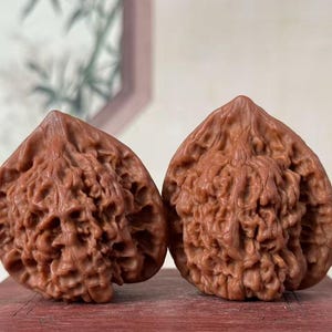 Puede incluir: Se muestran dos nueces marrones con superficies texturizadas. Las nueces están una al lado de la otra, mostrando sus intrincadas formas orgánicas. El fondo está borroso, enfocando la atención en las nueces.