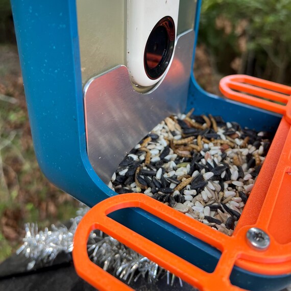 How to Keep Squirrels off Bird Buddy 