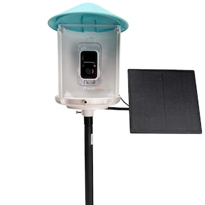 May include: A birdhouse with a built-in camera and solar panel. The birdhouse has a clear, rectangular body with a teal-colored roof. A black solar panel is attached to the side. The brand name "Birdfy" is visible on the front.