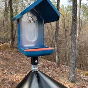 Does Bird Buddy Come With a Pole: Essential Setup Insights Revealed