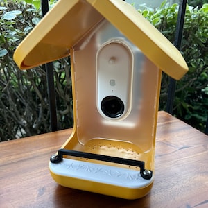 Bird Buddy Perch with Hardware for attaching to feeder; custom perch for Bird Buddy smart bird feeder. Size: Small rail perch with Hardware