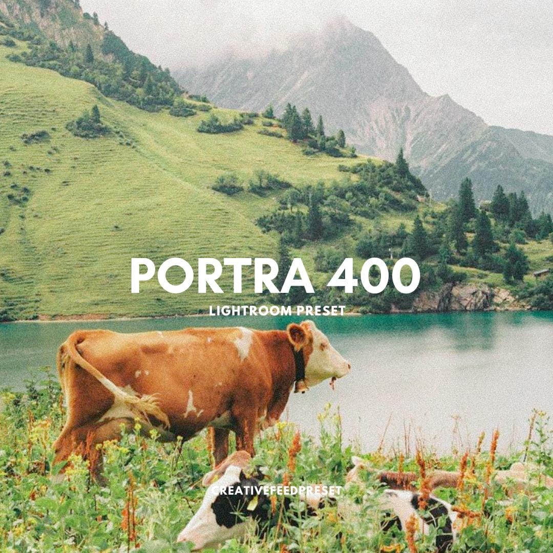 Kodak Portra Lightroom Presets Film Look Analog LR Preset