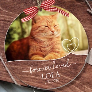 Pet Memorial Ornament, Dog Photo Ornament, Cat Memorial Gift, Pet Portrait Ornament from Photo, Pet Sympathy Gift, Cat Loss, Christmas Gift