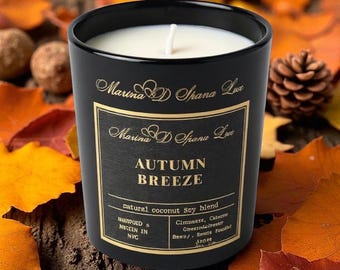 Kaars Autumn Breeze | Kokosnoot Sojawas Met Kaneel Citrusgeur