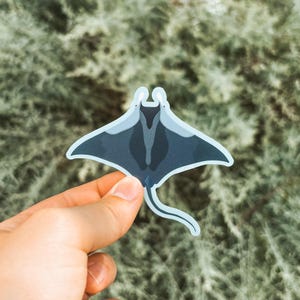 Manta Ray Sticker – Stunning Ocean Wildlife Decal for Marine Life Lovers