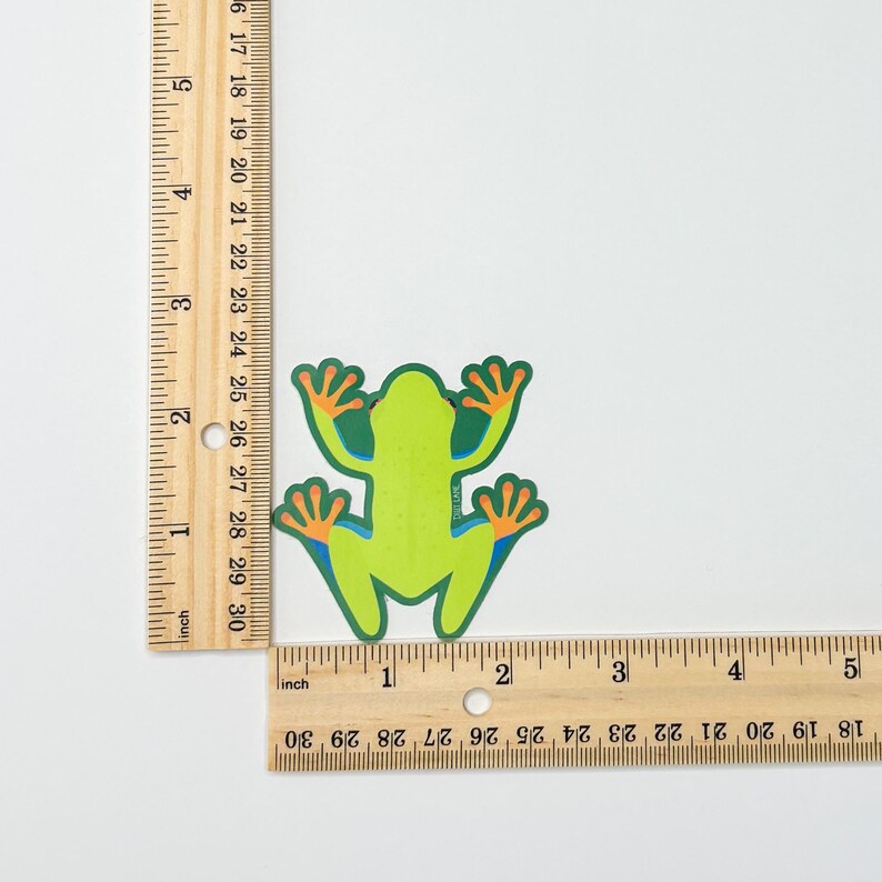 Cute Red-eyed Tree Frog Sticker | Waterproof Vinyl Sticker | Kawaii ...