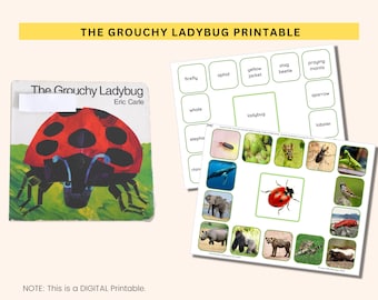 Montessori Busy Book Activity Worksheet | Quiet Book Toddler and Preschool Busy Binder PDF | The Grouchy Ladybug Printable  Learning Binder