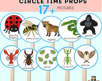The Grouchy Ladybug Story Circle Time Visuals Props | Book Companion Activities for Preschool, Speech Therapy