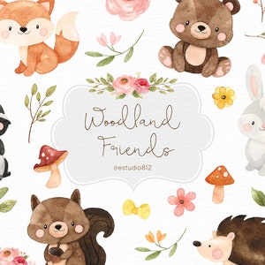 Clipart della scuola materna del bosco, clipart digitale dell'acquerello degli animali del bosco, animali della foresta