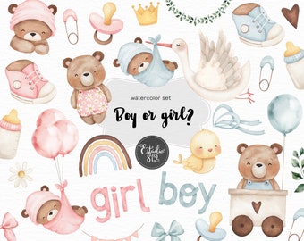 Boy or Girl Clipart Bundle: Gender Reveal Party, Teddybär, Vogel, Storch - digitaler Download für Scrapbooking und Partydekoration
