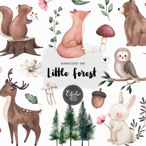 Op de afbeelding: Waterverf-illustratieset met bosdieren, waaronder een vos, een eekhoorn, een hert, een beer, een uil en een konijn. De set bevat ook paddenstoelen, eikels, bloemen en bomen. De tekst "watercolor set Little Forest" is in de afbeelding opgenomen.