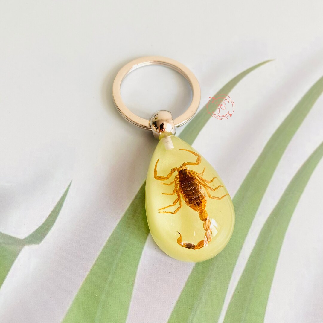 Resin Scorpion Keychain,real Insects Beetles Bugs Scorpions in Resin