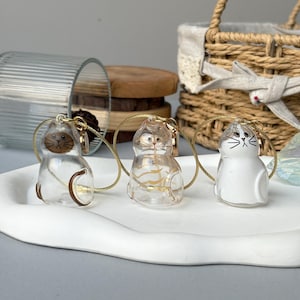 May include: Three clear cat-shaped keychains with gold-colored accents. The keychains are on a white tray. One cat is brown, one has gold stripes, and the third is white with black markings. Each keychain has a gold-colored wire loop.