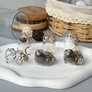 May include: A collection of six cat-shaped keychains in various colors and designs. The keychains are made of clear, translucent, and opaque materials, with details like stripes and gold accents. Each keychain has a gold-colored ring and a letter charm.