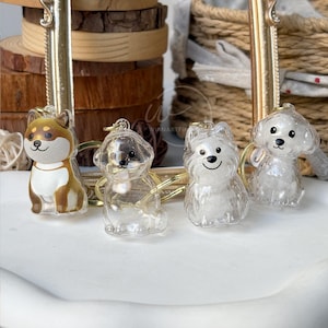 Sleutelhanger huisdierhaar, transparante huisdier aandenken bedel, herinnering huisdier verlies, geheugen medaillon hondenbont, hanger huisdierhaar