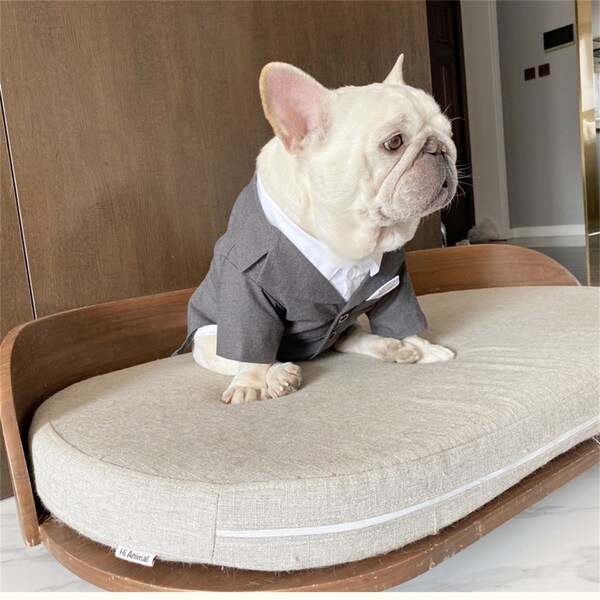 French Bulldog Harness Etsy