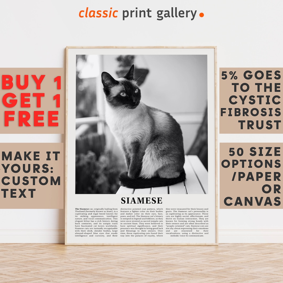 Siamese Print, Siamese Wall Art Poster, Black White Classroom Teacher ...