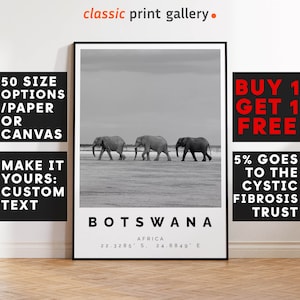 Botswana Poster, Botswana Print, Botswana Black and White Photographic Art, Wedding gift, Coordinates Poster, Travel Gift,  Africa,4659b