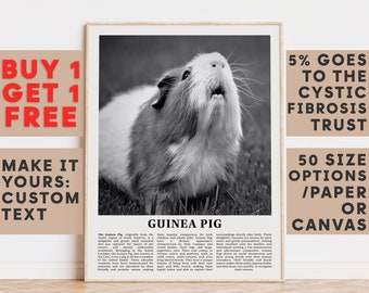 Guinea Pig Print, Guinea Pig Wall Art Poster, Black White Classroom Teacher Gift Present Kids Room Nursery Photography Biology Art 14670a