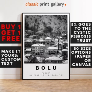 Bolu Print,Bolu Wall Art,Bolu Black and White Poster,Personalized Birthday Travel Gift Present Photography Artwork Turkey 14505a