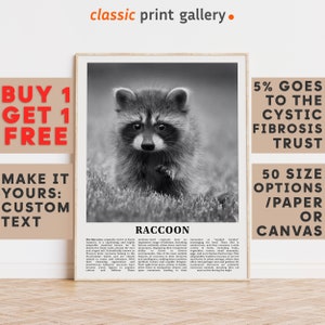 Raccoon Print, Raccoon Wall Art Poster, Black White Classroom Teacher Gift Present Kids Room Nursery Photography Artwork Biology Art 14781a