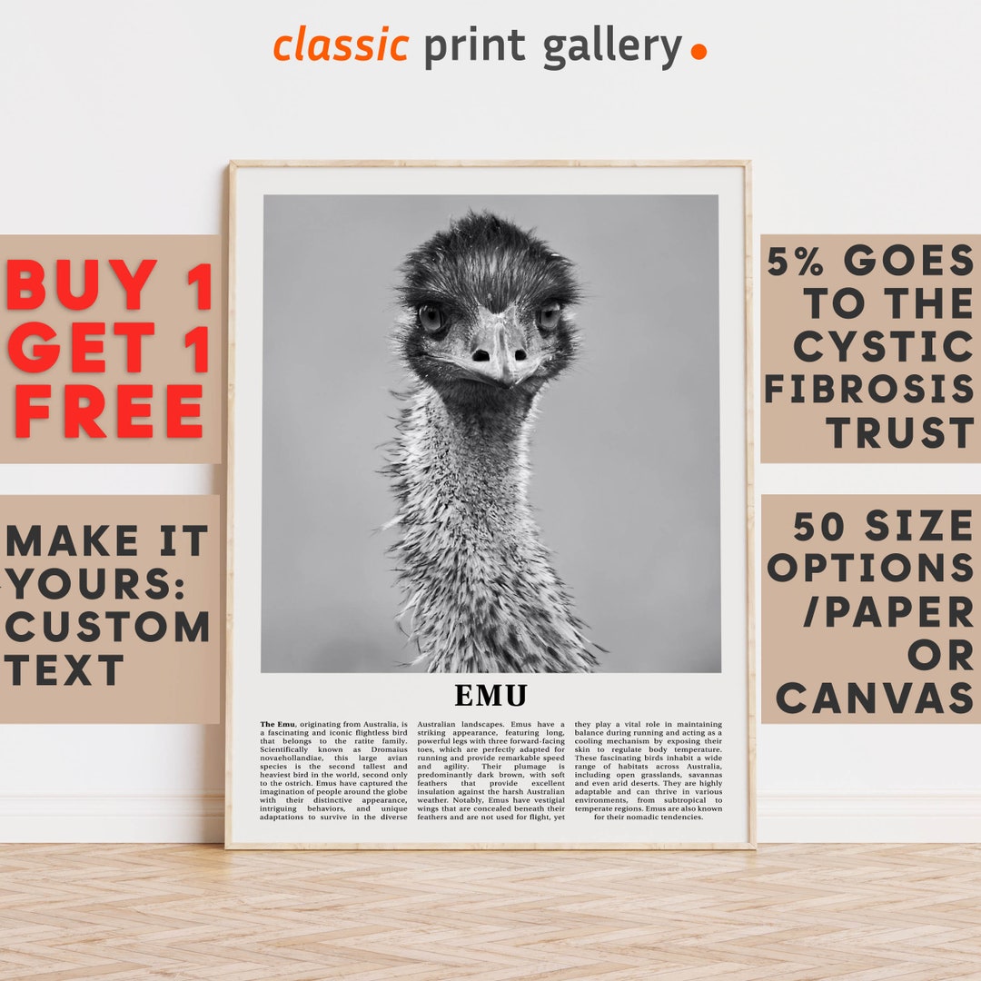 Emu Print, Emu Wall Art Poster, Black White Classroom Teacher Gift ...